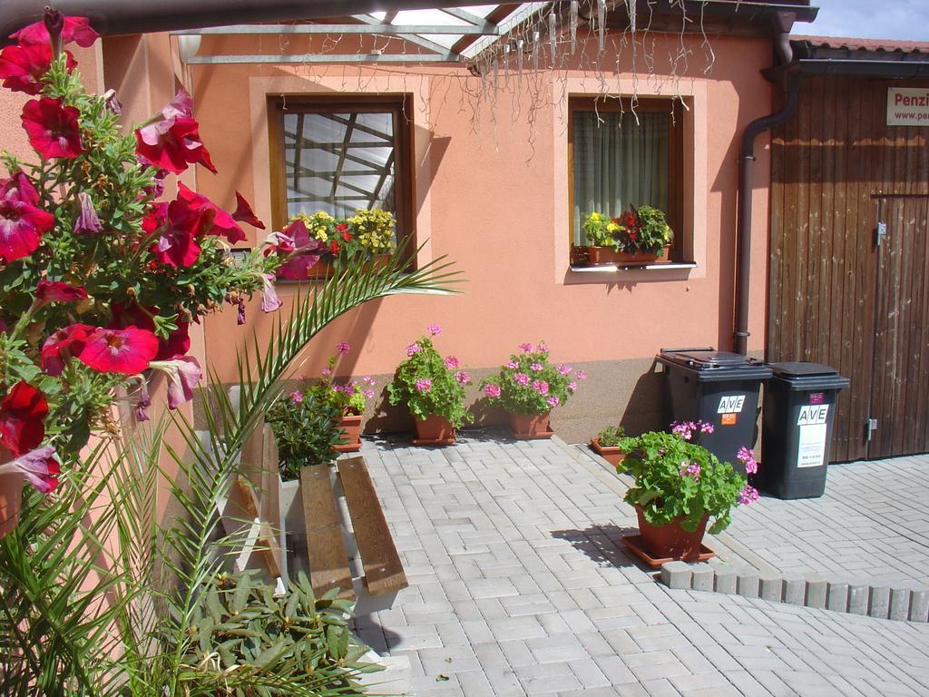 Wellness Penzion Palice Jindřichŭv Hradec Exterior foto